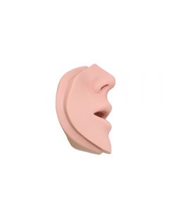 Side of Adult Mouth / Nosepiece