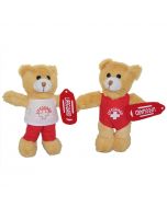 Front of Two Lifeguard Teddy Bears Wearing Red and White Outfits with Lifeguard Logos 